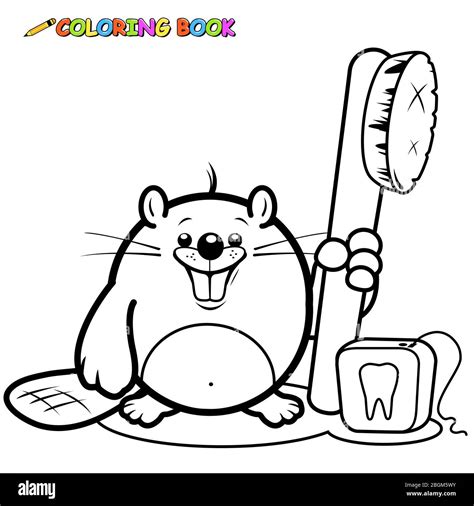 Beaver teeth Cut Out Stock Images & Pictures - Alamy