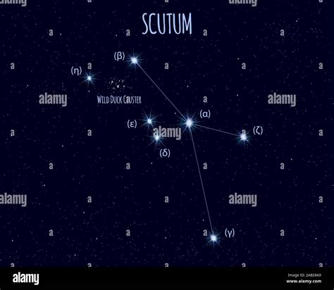 Scutum (The Shield) constellation, vector illustration with basic stars against the starry sky ...