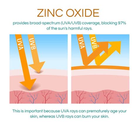 Zinc oxide acts as a barrier against the sun's UV rays · Reef Repair