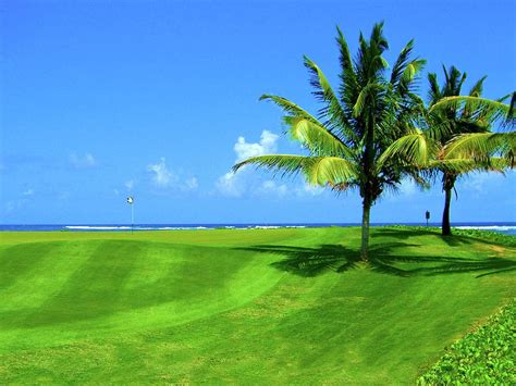 Royal St. Kitts Golf Course - Hole #16 Photograph by Scott Carda