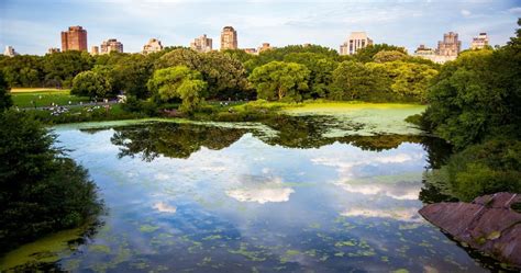 Summer In The Big Apple: Chill Out In The 10 Best New York City Parks