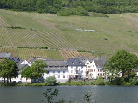 Cycling The Gorgeous Mosel River • Experience France By Bike