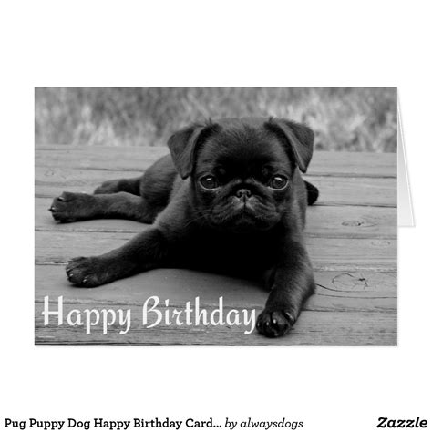 Pug Puppy Dog Happy Birthday Card - Black & White | Zazzle.com | Pug puppies for sale, Pug ...