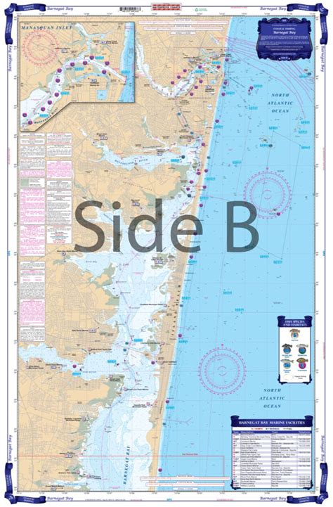 Charts & Maps Waterproof Charts 56F Barnegat Bay Coastal Fishing