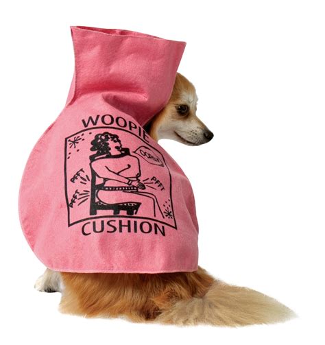 Whoopie Cushion Pet Costume – Medium | Shufflecat