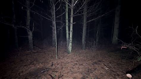 Spooked In Scary Woods At Night Running Stock Footage SBV-334025585 - Storyblocks