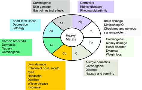 1 Human health hazards associated with exposure to toxic heavy metals ...