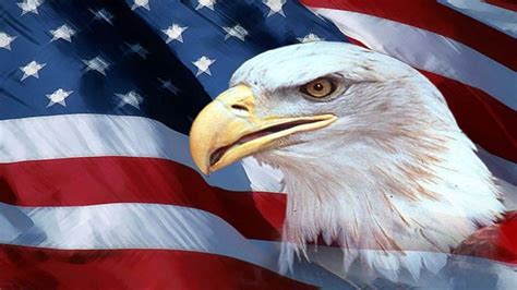 american flag free computer wallpaper | American flag wallpaper, Bald eagle, Eagle wallpaper