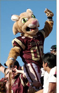 Bobcat Mascot : Home : Texas State University | Texas state bobcats, Texas state, Texas state ...