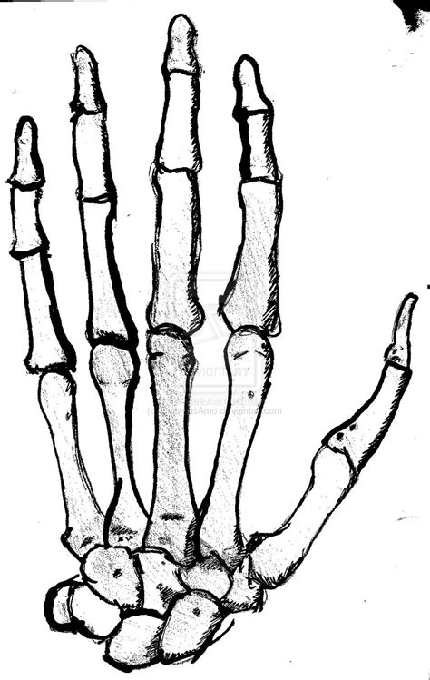 Skeleton Hand Drawing Tutorial at GetDrawings | Free download