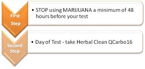 Herbal Clean Qcarbo16 Drug Test Instructions