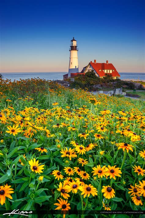 Portland Maine Lighthouse with Flower | HDR Photography by Captain Kimo