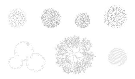 trees in plan cad blocks - Serina Peck