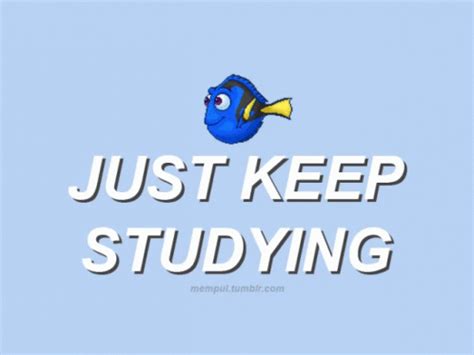 Just Keep Studying GIF | GIFDB.com