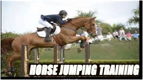 Horse Jumping Training Exercises - YouTube