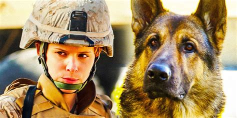 What Happened To Megan Leavey & Rex In Real Life After The 2017 Movie