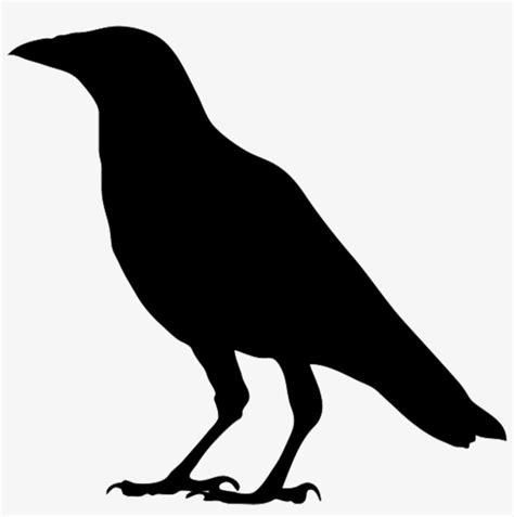 Crow Silhouette Right Clipart - Crow Transparent PNG - 1169x1185 - Free Download on NicePNG