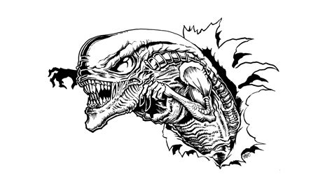 Chestburster Drawing