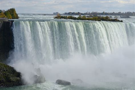 Woods Walks and Wildlife: Niagara Falls Nature