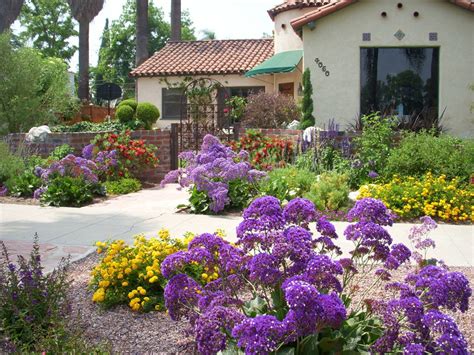 Garden Gallery | Drought tolerant landscape front yard, Drought tolerant garden, Drought ...