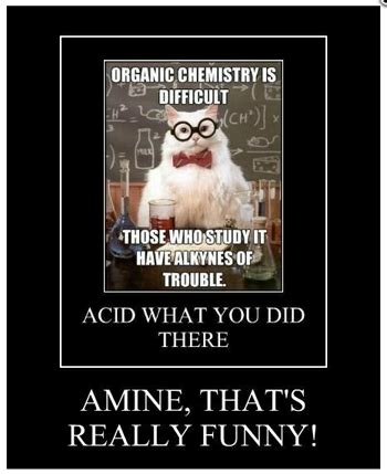 The Top 10 Chemistry Cat Memes of All Time