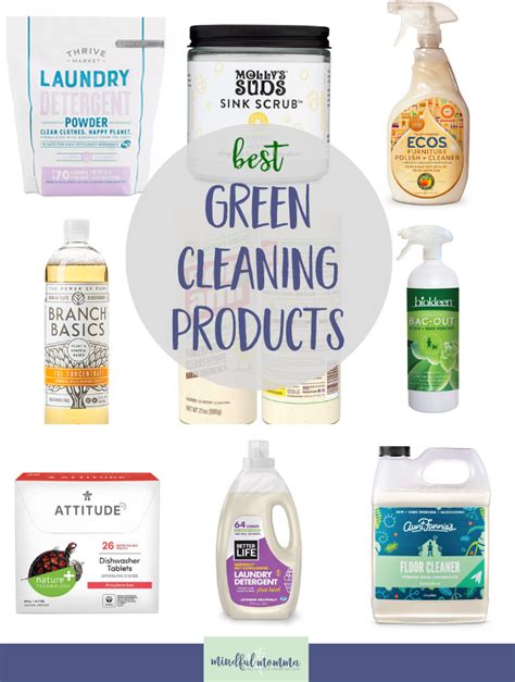 Best Non-Toxic Cleaning Products to Tackle the Whole House