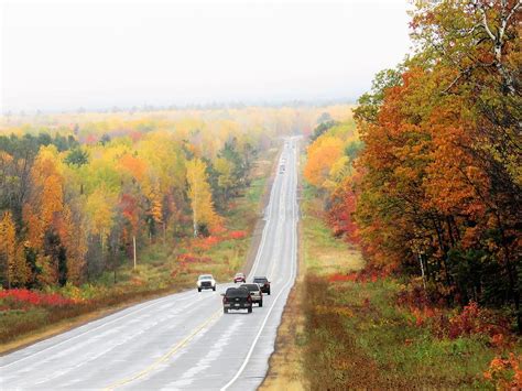 Wisconsin Highway Fifty One Photograph by Lori Frisch - Pixels