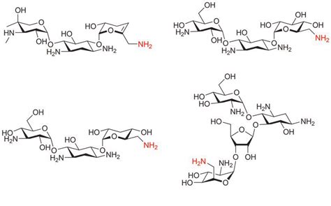 Examples of structures of aminoglycoside antibiotics | Download Scientific Diagram