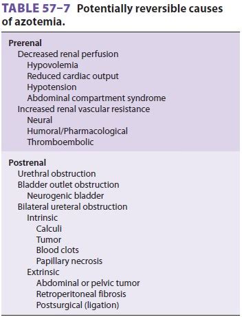 Prerenal Azotemia