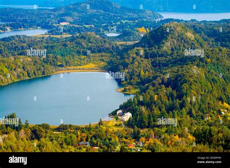 High Angle View Of Trees In Forest Stock Photo - Alamy