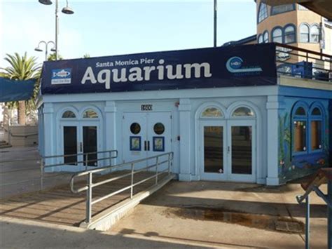 Santa Monica Pier Aquarium - Santa Monica, CA - Public Aquariums on ...