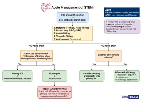 Acute Management of STEMI - Gram Project