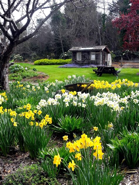 Mendocino Coast Botanical Gardens | Mendocino coast, Botanical gardens ...