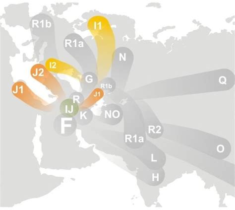 Haplogroup Distribution in Europe