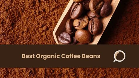 8 Best Organic Coffee Beans - Espresso, Light, Dark, Decaf, Etc. - Everything About Coffee ...