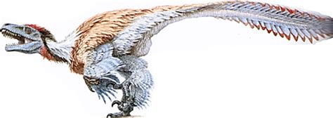 Dromaeosauridae | Dinopedia | Fandom powered by Wikia