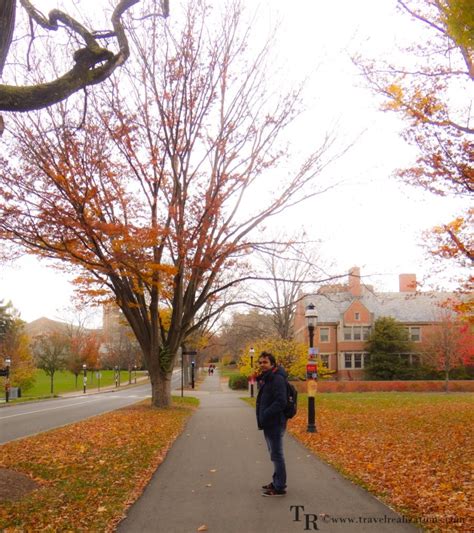 A Fall Foliage in Princeton University Campus - Travel Realizations