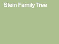 290 Stein family tree ideas | american history, historical photos, history