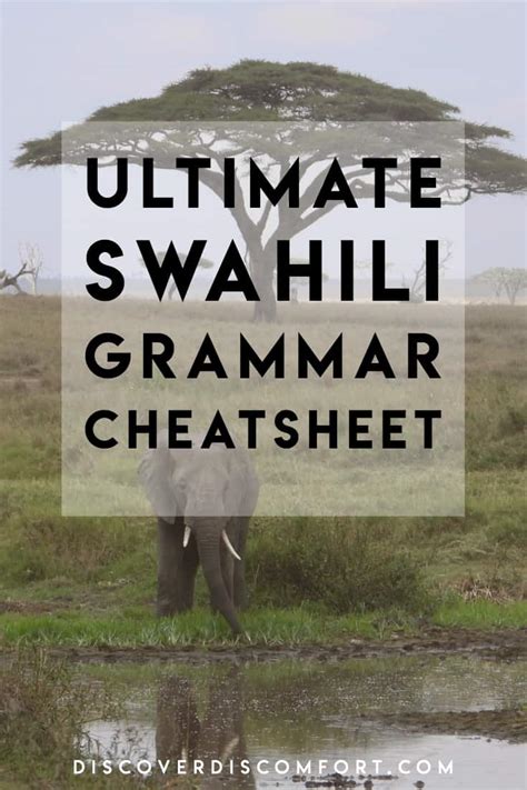 Swahili Noun Classes — Ultimate Cheat Sheet | Discover Discomfort