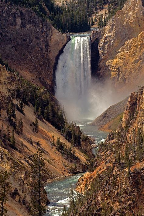 Grand Canyon of the Yellowstone Photograph by Robert Pilkington - Fine ...