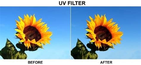 Parfüm Gemacht aus erscheinen should i use uv filter on my lens Sie selbst Uganda Acquiesce