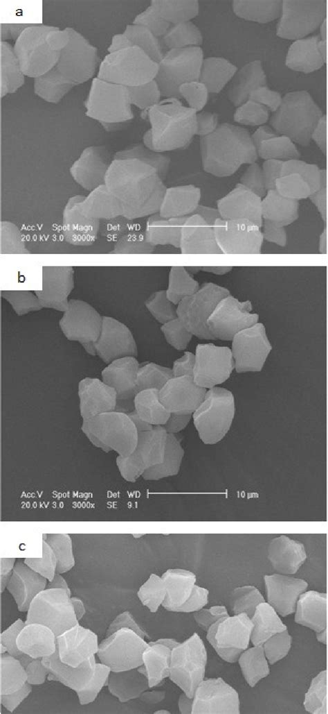 Rice starch granules observed under scanning electron microscope (a ...