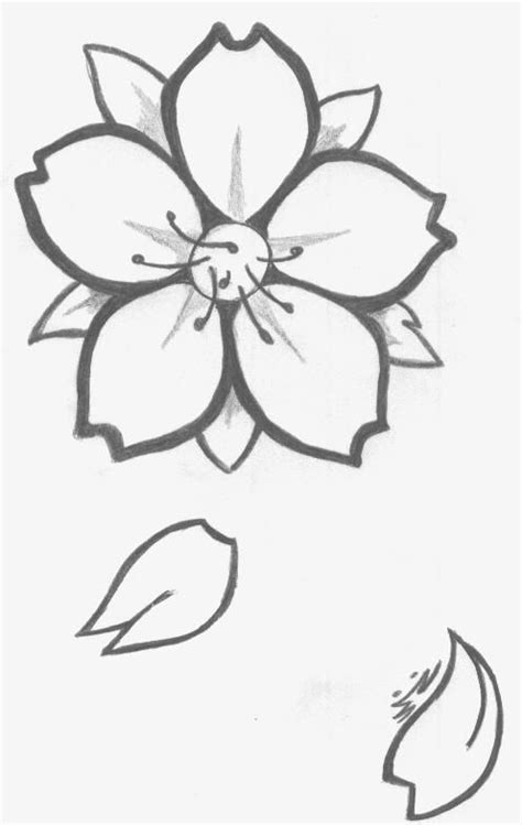 Dessin Fleur De Cerisier | Japanese tattoo symbols, Flower drawing ...