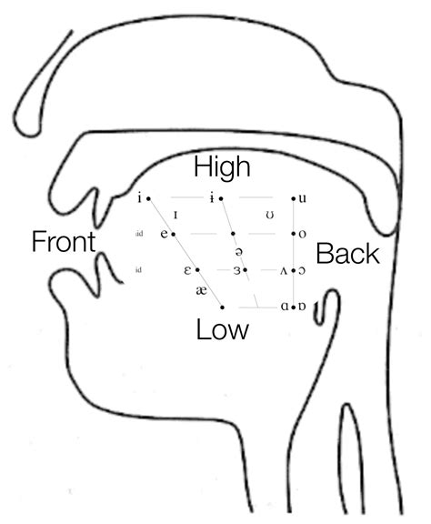 Consonant Ipa Vowel Chart | Hot Sex Picture