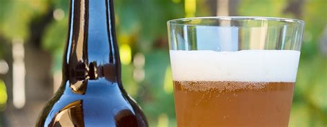 Gose Beer Recipe - Hunter Angler Gardener Cook