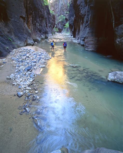 Virgin River Narrows in Zion National Park - Photograph by Tom Till ...