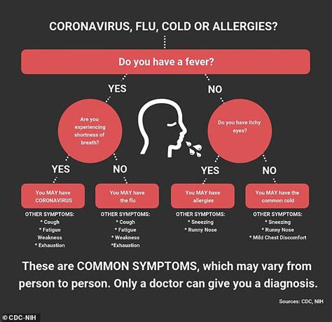 CDC: COVID-19 spreading; How to tell if you have the coronavirus, cold, or allergies; Symptoms ...