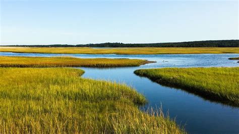 Free Image on Pixabay - Salt Marsh, Cape Cod, Ocean | Nature images ...