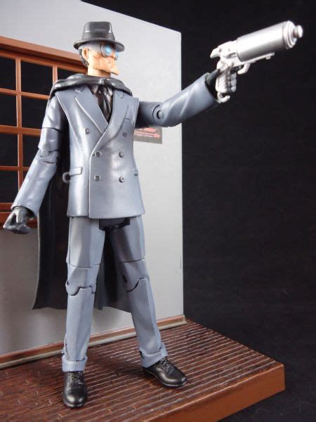 The Gray Ghost (Batman Animated) (DC Universe) Custom Action Figure