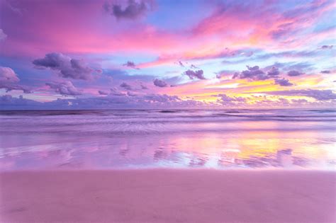 1K+ Pink Beach Pictures | Download Free Images on Unsplash